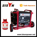 BISON(CHINA) 3kw natural gas generator